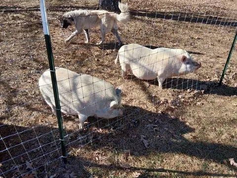 Other - 1555 Lower River Rd, Covington, GA 30016 photo 24 of 26