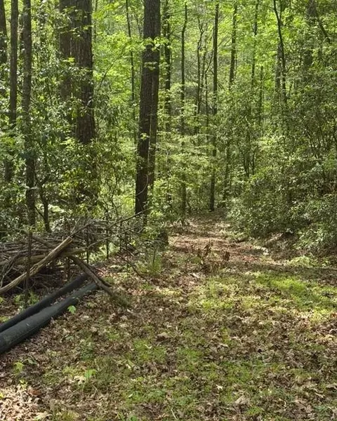 348 Hemlock Trl, Ellijay, GA 30540