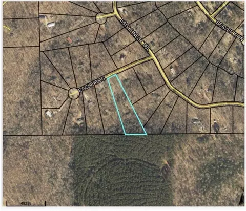 103 Eagle Rdg, Ball Ground, GA 30107