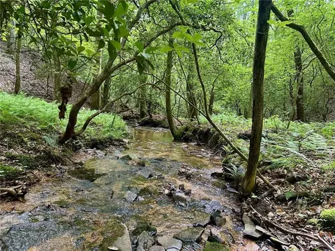 125 Patriot View Dr, Dahlonega, GA 30533