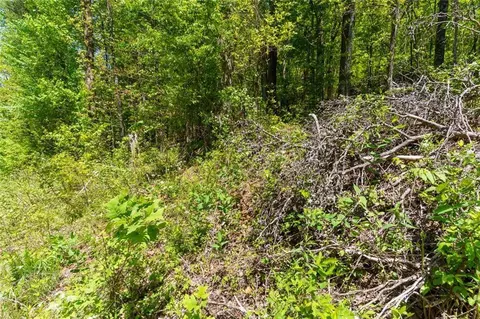 0 Fire Tower Rd, Jasper, GA 30143 photo 6
