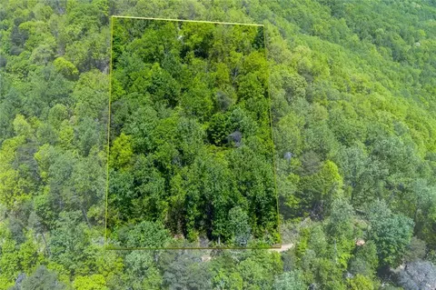 0 Fire Tower Rd, Jasper, GA 30143 photo 8