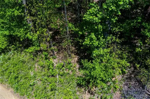 0 Fire Tower Rd, Jasper, GA 30143 photo 5