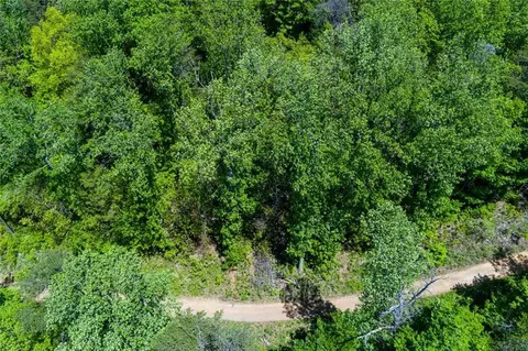 0 Fire Tower Rd, Jasper, GA 30143 photo 7