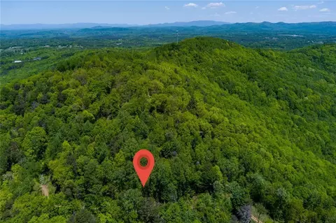 0 Fire Tower Rd, Jasper, GA 30143 photo 9