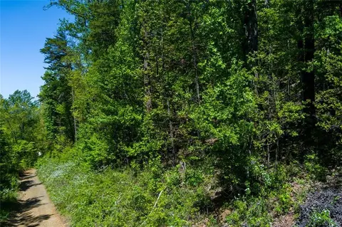 0 Fire Tower Rd, Jasper, GA 30143 photo 4
