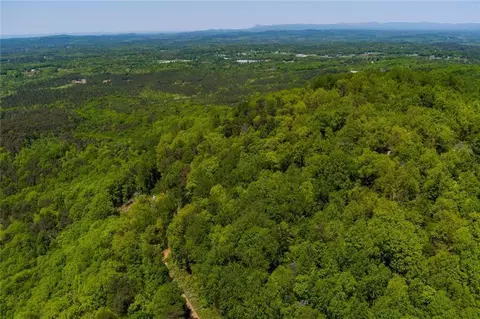 0 Fire Tower Rd, Jasper, GA 30143 photo 10