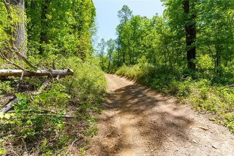 0 Fire Tower Rd, Jasper, GA 30143 photo 2