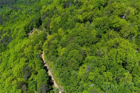 0 Fire Tower Rd, Jasper, GA 30143 photo 11