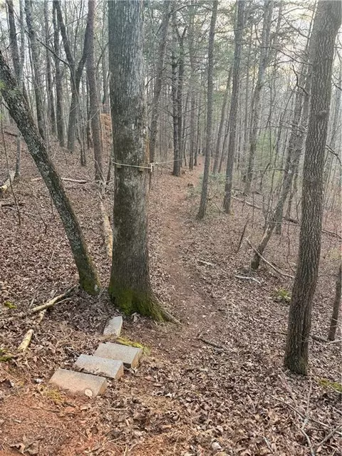 0 Shady Grove Church Rd, Talking Rock, GA 30175