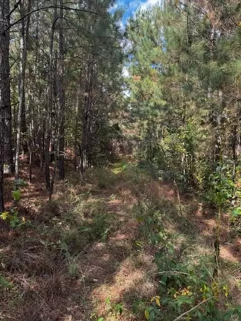 230 Dodgen Rd, Hampton, GA 30228