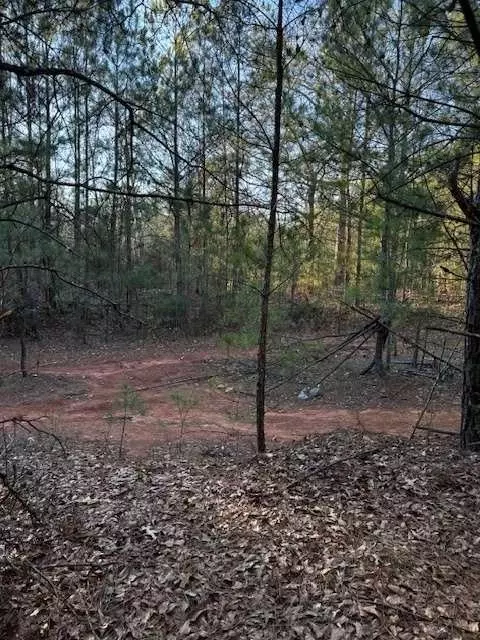 0 Belford Way, Jackson, GA 30233 photo 5