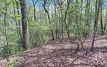 T-2 Clayton Gooch Road, Dahlonega, GA 30533