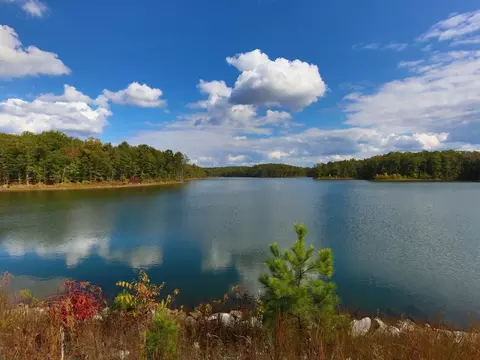 View/Area - 604 Little Bear Loop, Canton, GA 30114 photo 2 of 4