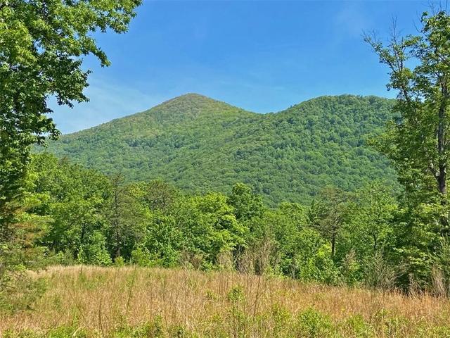 10 5ac Jack Walker Rd, Dahlonega, GA 30533