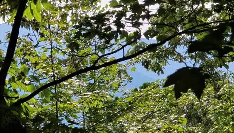lot17 Abbott Mill Rd, Ellijay, GA 30540