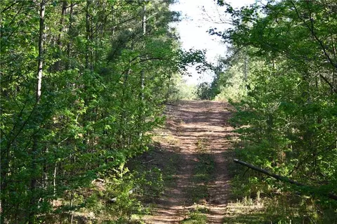 00008 Windridge Ln, Temple, GA 30179 photo 20