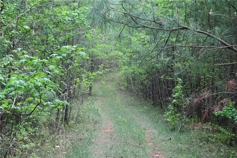 00008 Windridge Ln, Temple, GA 30179 photo 23