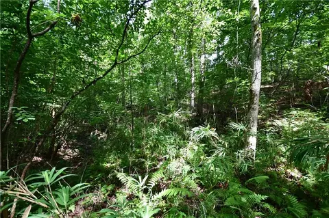 00008 Windridge Ln, Temple, GA 30179 photo 15