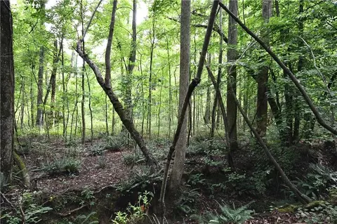 00008 Windridge Ln, Temple, GA 30179 photo 2