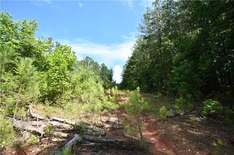 00008 Windridge Ln, Temple, GA 30179 photo 19