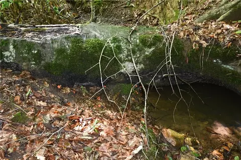 00008 Windridge Ln, Temple, GA 30179 photo 6