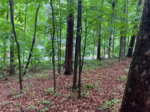 0 Lake Club Dr, Lavonia, GA 30553