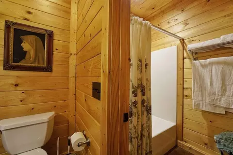 Bath - 85 Hunter Dr, Talking Rock, GA 30175 photo 2 of 4