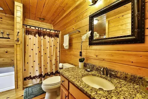 Bath - 85 Hunter Dr, Talking Rock, GA 30175 photo 3 of 4