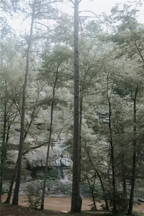 View/Area - 85 Hunter Dr, Talking Rock, GA 30175 photo 1 of 2