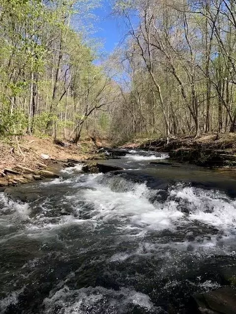 View/Area - 12 Tamarack Pt, Jasper, GA 30143 photo 11 of 12