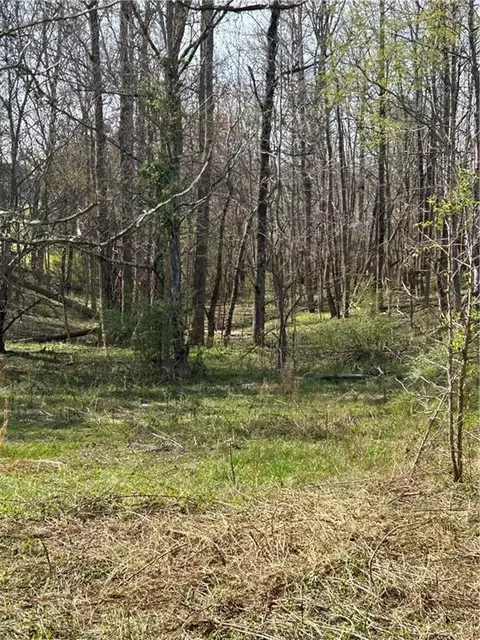0 Browning Rd, Fairmount, GA 30139