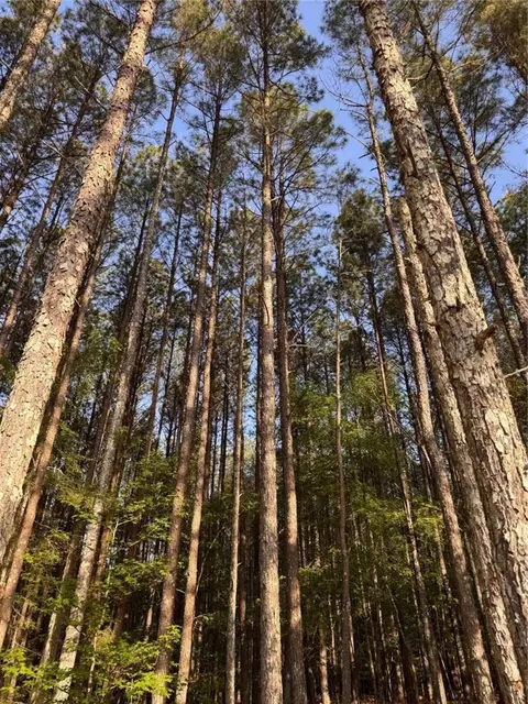 0 Conger Rd, Union Point, GA 30669 photo 6