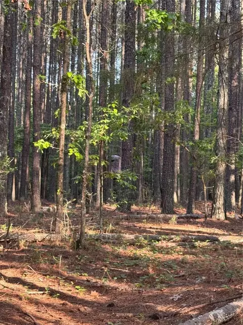 0 Conger Rd, Union Point, GA 30669 photo 10