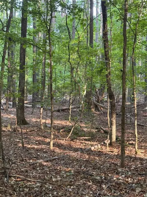 0 Conger Rd, Union Point, GA 30669 photo 7
