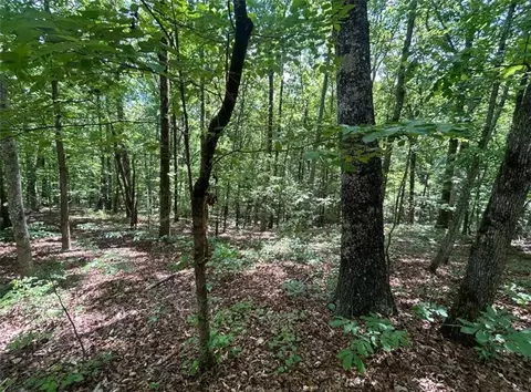 0 Fouts Mill Rd, Douglasville, GA 30135