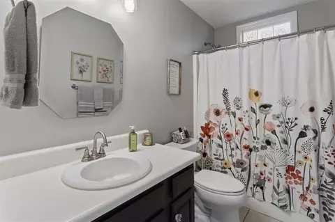 Bath - 208 Timberline Dr, Jasper, GA 30143 photo 5 of 5