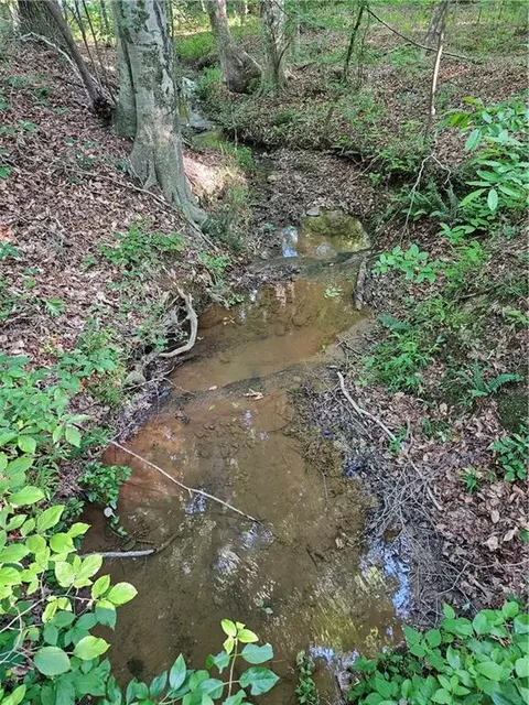 0 Ponderosa Trl, Dallas, GA 30132