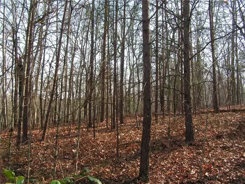 0 Mount Pleasant Church Rd, Cleveland, GA 30528