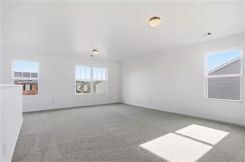 1705 Blue Heron Way, Hampton, GA 30228 photo 19
