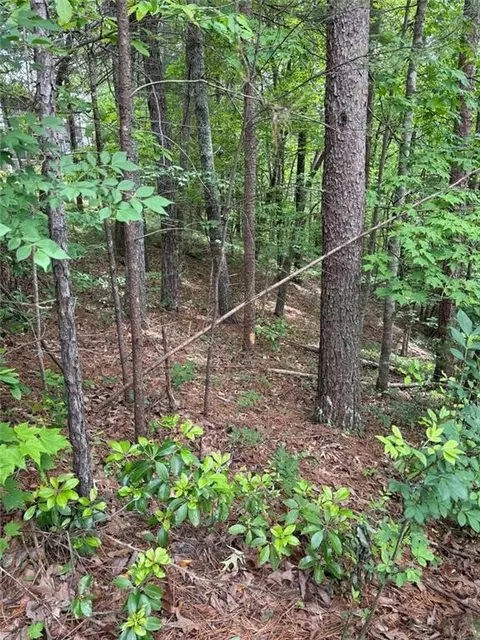 0 Hinterstraten Weg, Helen, GA 30545