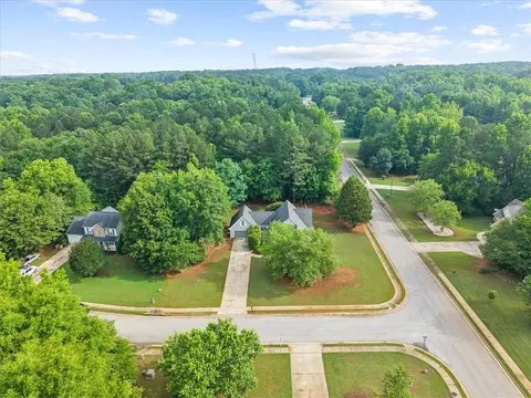 View/Area - 300 Cobb Ct, Hampton, GA 30228 photo 1 of 5