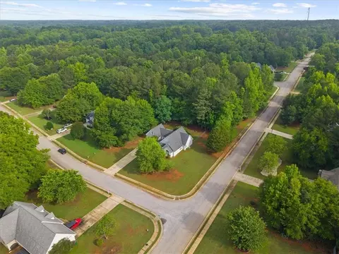 View/Area - 300 Cobb Ct, Hampton, GA 30228 photo 2 of 5