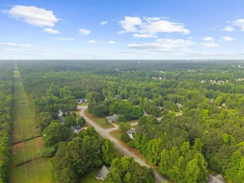 View/Area - 300 Cobb Ct, Hampton, GA 30228 photo 5 of 5