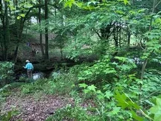 0 Log Cabin Rd, Cumming, GA 30028