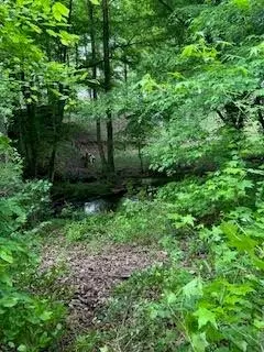 0 Log Cabin Rd, Cumming, GA 30028