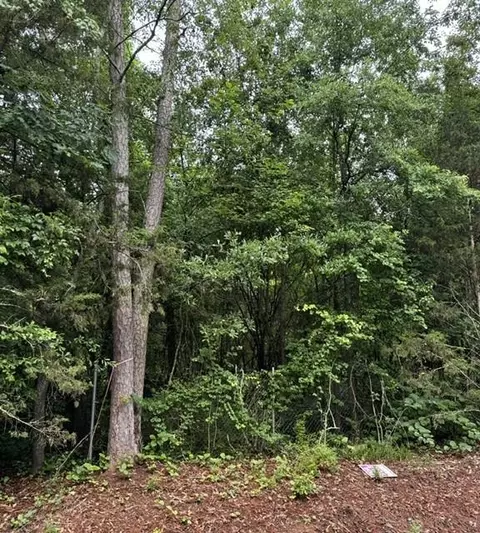 0 Lewis Dr, Lavonia, GA 30553
