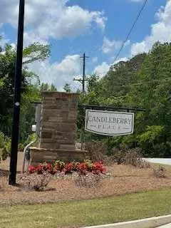 14 Candleberry Way, Sharpsburg, GA 30277