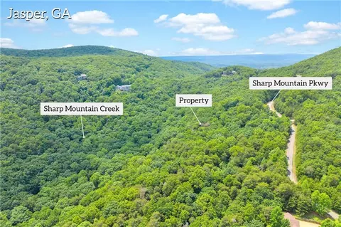 98 Sharp Mountain Pkwy, Jasper, GA 30143