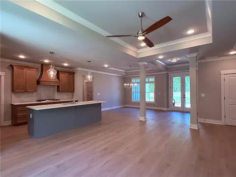 Living - 305 Springtime Way, Monroe, GA 30655 photo 3 of 4